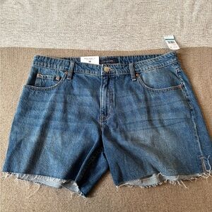 Aeropostale Distressed Denim Jean Shorts